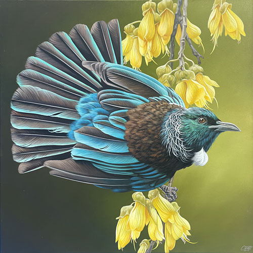 Craig Platt nz bird art, Spring Gold Tui, oil on canvas